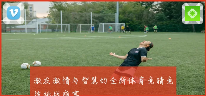 激发激情与智慧的全新体育竞猜竞技挑战盛宴