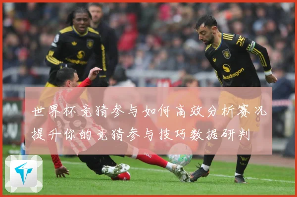 世界杯竞猜参与如何高效分析赛况提升你的竞猜参与技巧数据研判