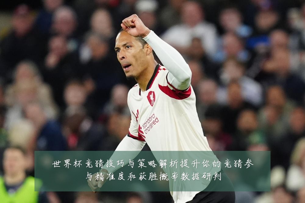 世界杯竞猜技巧与策略解析提升你的竞猜参与精准度和获胜概率数据研判