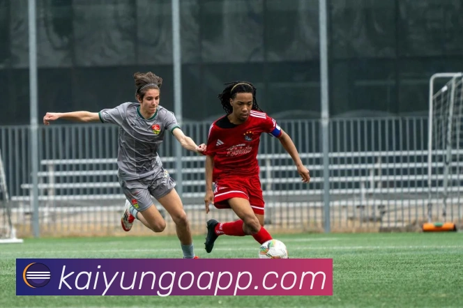 开云APP全面解析与功能创新助力数字化生活升级